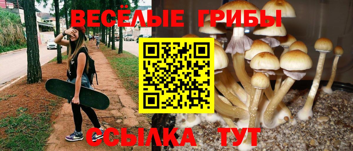 Галлюциногенные грибы прущие грибы Ишим