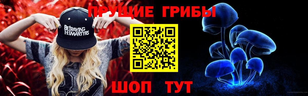 Ишим  Псилоцибиновые грибы прущие грибы  Вход с VPN  Псилоцибиновые грибы MAGIC MUSHROOMS 